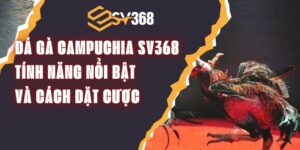 Đá Gà Campuchia SV368 – Tính Năng Nổi Bật Và Cách Đặt Cược