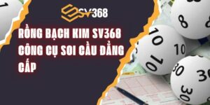 Rồng Bạch Kim SV368 – Công Cụ Soi Cầu Đẳng Cấp